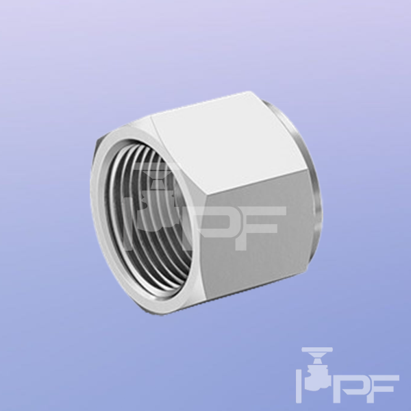 proessfitinc-Swagelok-Hex-Nut Swagelok Hex Nut at Ontario, Alberta and Manitoba