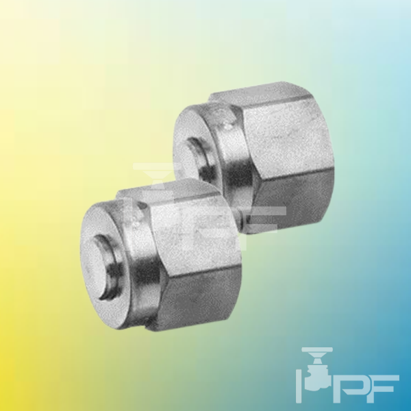 proessfitinc-Swagelok-Tube-End-Cap Swagelok Tube End Cap at Ontario, Alberta and Manitoba