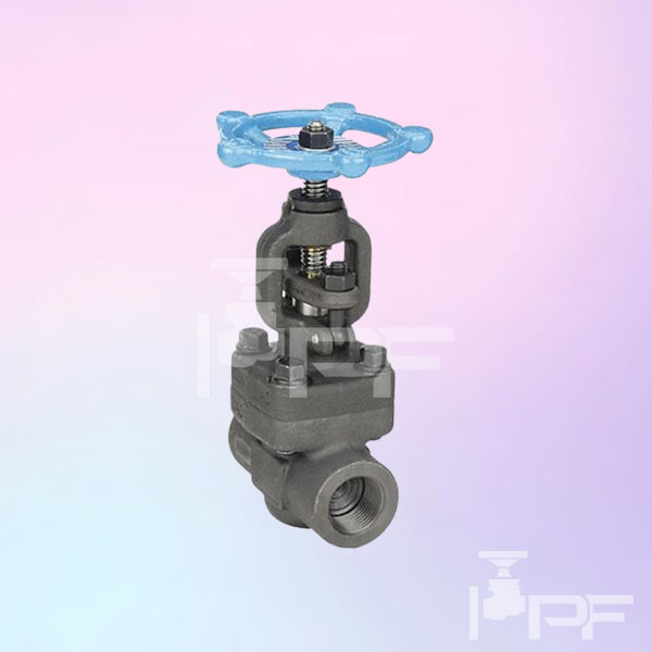 proessfitinc-threaded-globe-valve Threaded Globe Valve at Ontario, Alberta and Manitoba
